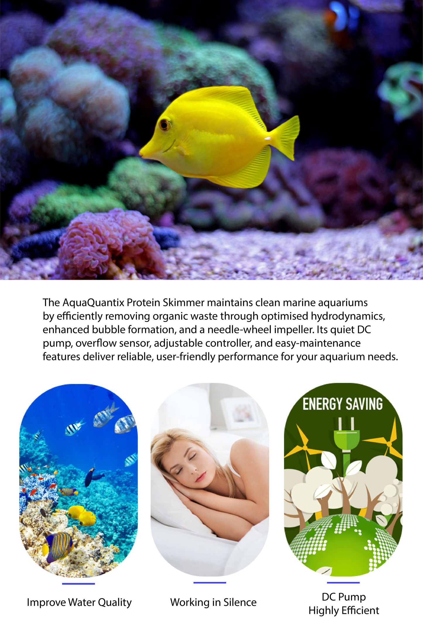 AquaQuantix Protein Skimmer