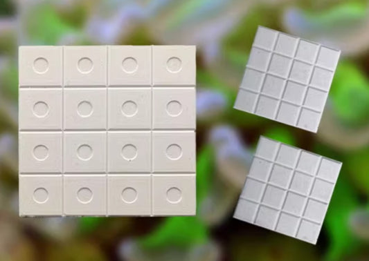 Coral Frag Large Square Plug (Easy to break off to create multiple colonies), 5 cm, for Marine Coral Growth and Propagation
